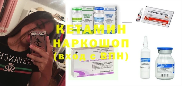 хмурый Аркадак