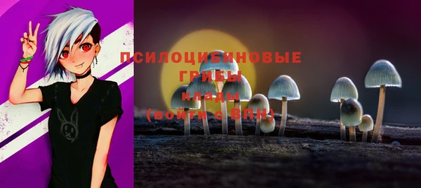 спайс Алексин