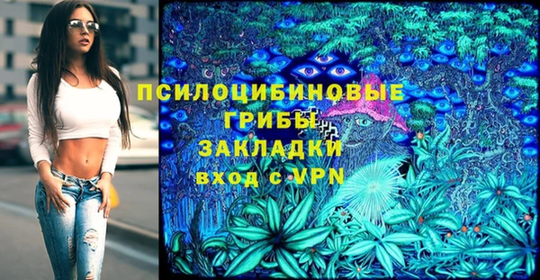 спайс Алексин
