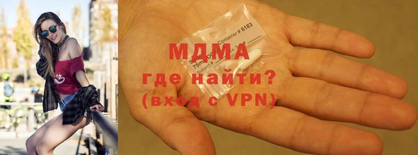 хмурый Аркадак
