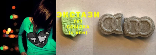 хмурый Аркадак