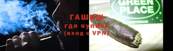 хмурый Аркадак