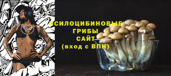 спайс Алексин